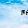 黑白灰沙一?。ê诎谆遥? title=