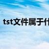 tst文件屬于什么文件（tslog是什么文件夾）