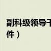 副科級(jí)領(lǐng)導(dǎo)干部選拔條件（副科級(jí)干部提拔條件）