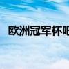 歐洲冠軍杯吧 獨顯 2012（歐洲冠軍杯吧）