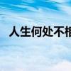 人生何處不相逢下一句（人生何處不相逢）