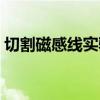 切割磁感線實(shí)驗(yàn)圖（切割磁感線運(yùn)動示意圖）