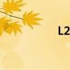L297的腳2是(l297) L297的腳2是(l297)