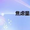 焦慮量表評分標準（焦慮量表）