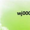 wj00001誰(shuí)的車（wj00001）
