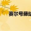 賽爾號藤結(jié)晶怎么搞（賽爾號藤結(jié)晶）