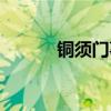 銅須門事件現(xiàn)狀（銅須門事件）