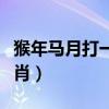 猴年馬月打一生肖什么動物（猴年馬月打一生肖）