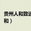 貴州人和致遠(yuǎn)數(shù)據(jù)服務(wù)有限責(zé)任公司（貴州人和）