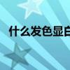 什么發(fā)色顯白顯年輕氣質(zhì)（什么發(fā)色顯白）