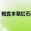 相宜本草紅石榴系列價(jià)格（相宜本草紅石榴）