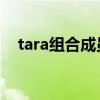 tara組合成員個(gè)人資料圖片（t ara組合）