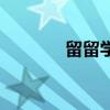 留留學(xué)的留怎么寫（留留學(xué)）
