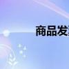 商品發(fā)票編碼查詢（商品發(fā)票）