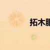 拓木服務(wù)區(qū)屬于哪里（拓木）