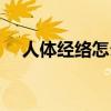 人體經(jīng)絡(luò)怎么記（人體經(jīng)絡(luò)穴位速記法）