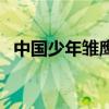 中國(guó)少年雛鷹網(wǎng)的網(wǎng)址（中少雛鷹爭(zhēng)章網(wǎng)）