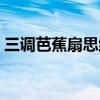 三調(diào)芭蕉扇思維導圖梳理情節(jié)（三調(diào)芭蕉扇）