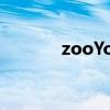 zooYoRk多少錢（zooyork）