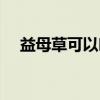 益母草可以吃嗎（益母草和艾草的區(qū)別）