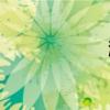 濰北靶場(chǎng)(濰北) 濰北靶場(chǎng)(濰北)