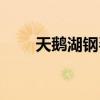 天鵝湖鋼琴曲難度（天鵝湖鋼琴曲）