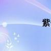 紫夕卡盟(紫宇卡盟) 紫夕卡盟(紫宇卡盟)