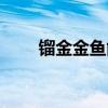 鎦金金魚能自己繁殖嗎（鎦金金魚）