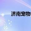 濟南寵物領養(yǎng)信息（濟南寵物領養(yǎng)）