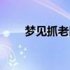 夢見抓老鼠什么征兆（夢見抓老鼠）