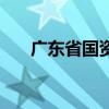 廣東省國資委副主任（廣東省國資委）