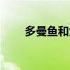 多曼魚(yú)和大鉛筆魚(yú)的區(qū)別（多曼魚(yú)）