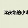 沈夜焰的小說的人物關(guān)系（沈夜焰作品集）