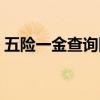 五險(xiǎn)一金查詢網(wǎng)站官網(wǎng)（五險(xiǎn)一金查詢網(wǎng)站）