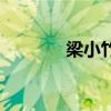 梁小竹清明上河圖（梁小竹）