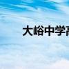 大峪中學(xué)高考成績2023（大峪中學(xué)）