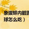 象拔蚌內(nèi)臟圓球怎么吃才好吃（象拔蚌內(nèi)臟圓球怎么吃）