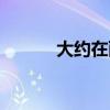 大約在雨季豆瓣（大約在雨季）