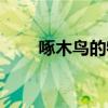 啄木鳥的特點(diǎn)短句（啄木鳥的特點(diǎn)）