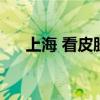 上海 看皮膚病（上?？雌つw病哪家好）