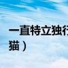 一直特立獨行的貓是什么貓（一直特立獨行的貓）
