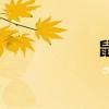 鼠貓文虐（鼠貓文）