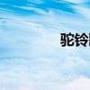 駝鈴歌詞原唱（駝鈴歌詞）