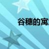谷穗的寓意象征意義（谷穗的意思）