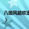 八級風(fēng)能吹走多重的東西（八級風(fēng)可以出門嗎）