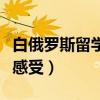 白俄羅斯留學(xué)的真實生活（白俄羅斯留學(xué)真實感受）