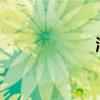淘寶免費(fèi)模板代碼