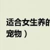 適合女生養(yǎng)的小型寵物貓(適合女生養(yǎng)的小型寵物) 適合女生養(yǎng)的小型寵物貓(適合女生養(yǎng)的小型寵物)