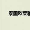 泰國(guó)歐萊雅洗面奶價(jià)格（泰國(guó)歐萊雅）
