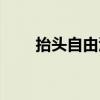 抬頭自由泳怎么游（自由泳怎么游）